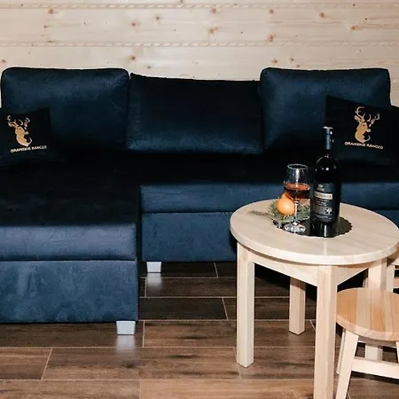Chalet Domki Pod Lasem-orawskie Ranczo
