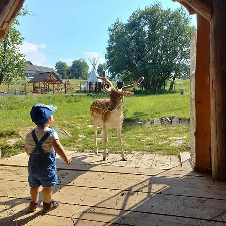 Alpstuga Pod Lasem-orawskie Ranczo Harkabuz